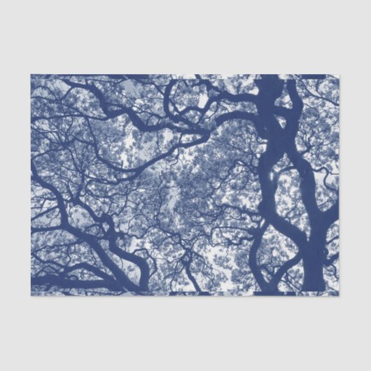 Papier Mousseline Arbre Magnolia - Effet Cyanotype (Recto)