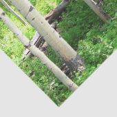 Papier Mousseline Arbres d'Aspen (Détail)