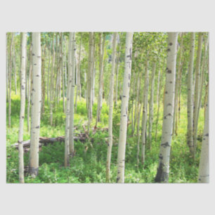 Papier Mousseline Arbres d'Aspen