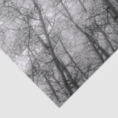 Papier Mousseline Arbres d'Aspen - Noir et blanc (Détail)