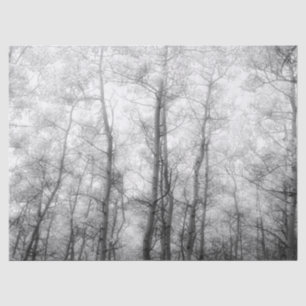 Papier Mousseline Arbres d'Aspen - Noir et blanc