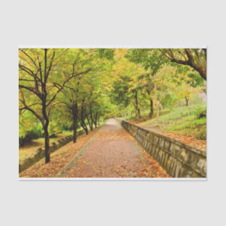 Papier Mousseline Arbres d'automne