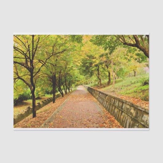 Papier Mousseline Arbres d'automne (Recto)