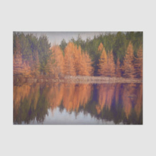 Papier Mousseline Arbres d'automne Orange Thème de peinture de paysa