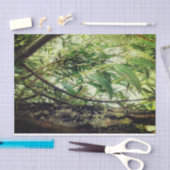 Papier Mousseline Arbres de jungle (Artisanat)