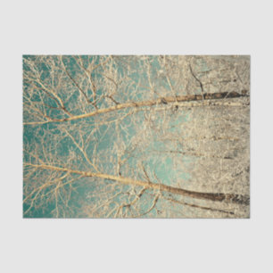 Papier Mousseline Arbres de la forêt Ciel sarcelle Hiver Forêt