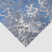 Papier Mousseline Arbres Neige hiver couvert Ciel bleu paysage (Détail)