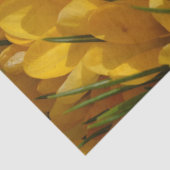 Papier Mousseline Arôme de Crocus jaune - Fleurs jaunes dorées (Détail)