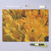 Papier Mousseline Arôme de Crocus jaune - Fleurs jaunes dorées (Artisanat)