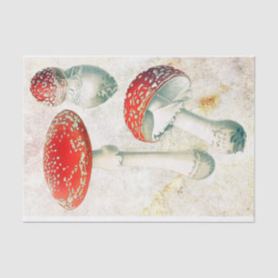 Papier Mousseline Arrière - plan affligé de champignon rouge morel