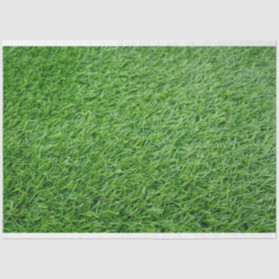 Papier Mousseline Arrière - plan d'herbe verte