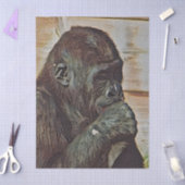 PAPIER MOUSSELINE ART CHIMPANZÉ (Artisanat)