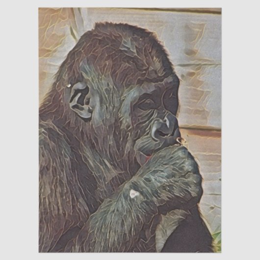 PAPIER MOUSSELINE ART CHIMPANZÉ (Recto)