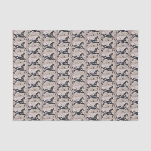 Papier Mousseline Art de Natif américain (Recto)