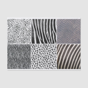 Papier Mousseline Artiste noir blanc animal caché texture
