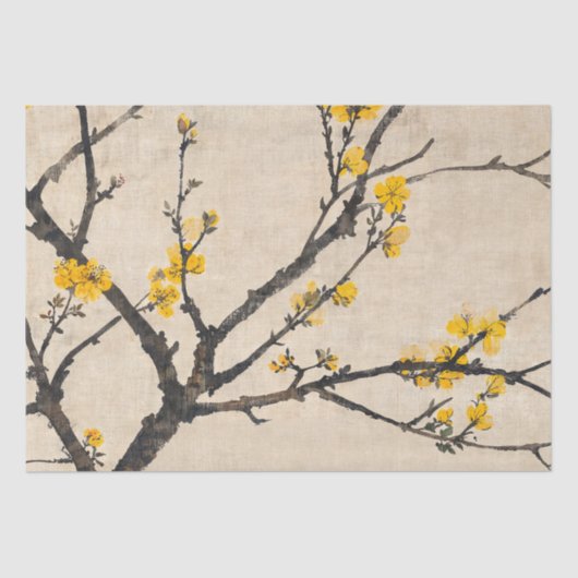 Papier Mousseline Asian Minimalist Yellow Blossom Branch (Recto)