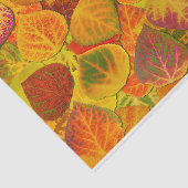 Papier Mousseline Aspen Feuilles Collage Solid Medley 1 (Détail)