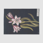 Papier Mousseline Asphodil Lily par Mary Delany (Recto)