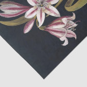 Papier Mousseline Asphodil Lily par Mary Delany (Détail)