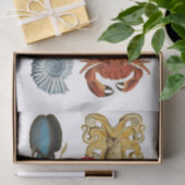 Papier Mousseline Association d'apaces de mer uniques Thunder_Cove (Cadeau)