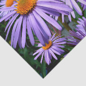 Papier Mousseline Asters pourpres (Détail)