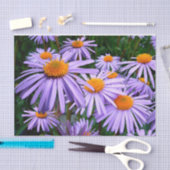 Papier Mousseline Asters pourpres (Artisanat)