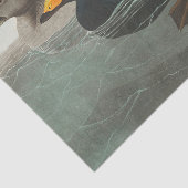 Papier Mousseline Audubon American Scoter Duck Classic (Détail)