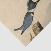 Papier Mousseline Audubon Belted Kingfisher Wildlife Bird (Détail)
