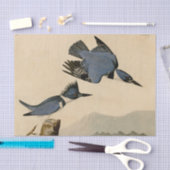 Papier Mousseline Audubon Belted Kingfisher Wildlife Bird (Artisanat)