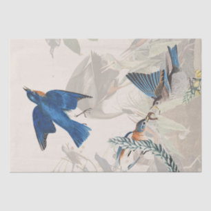 Papier Mousseline Audubon Heron Bluebird Birds Wildlife Tissue Paper