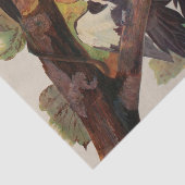 Papier Mousseline Audubon Peinture d'Oiseaux Pic Pilé (Détail)