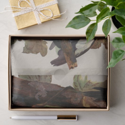 Papier Mousseline Audubon Peinture d'Oiseaux Pic Pilé (Cadeau)