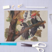 Papier Mousseline Audubon Peinture d'Oiseaux Pic Pilé (Artisanat)
