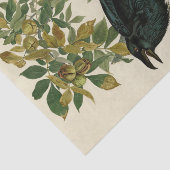 Papier Mousseline Audubon Raven Oiseau classique (Détail)