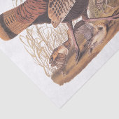 Papier Mousseline Audubon Turquie Hen et poussins à l'automne (Détail)