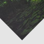 Papier Mousseline Aurora (Détail)