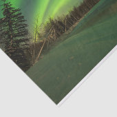 Papier Mousseline Aurora à bande (Détail)
