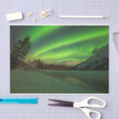 Papier Mousseline Aurora à bande (Artisanat)