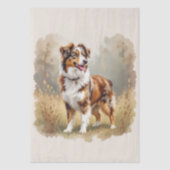 Papier Mousseline Australian Shepherd Dog Red Merle Aussie (Recto)