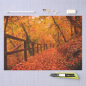 Papier Mousseline Automne Automne Moderne Enveloppement Cadeau Feuil (Artisanat)