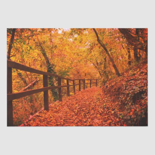 Papier Mousseline Automne Automne Moderne Enveloppement Cadeau Feuil (Recto)