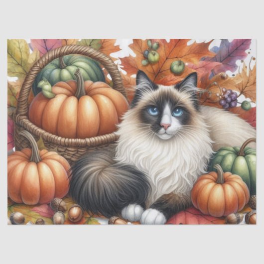 Papier Mousseline Automne Citrouille Automne Feuilles Ragdoll Chat (Recto)