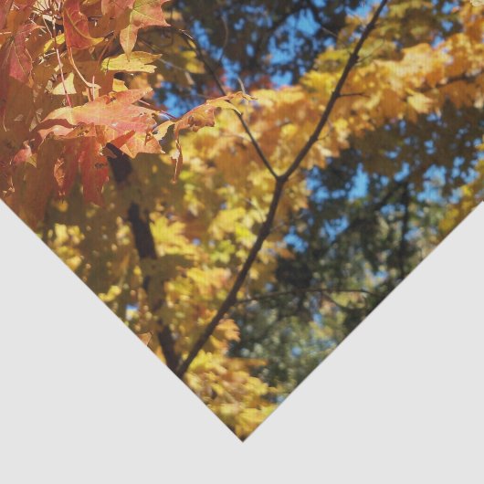 Papier Mousseline Automne Feuilles Automne Hiver (Détail)