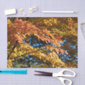 Papier Mousseline Automne Feuilles Automne Hiver (Artisanat)