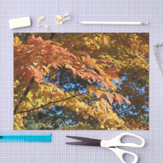 Papier Mousseline Automne Feuilles Automne Hiver (Artisanat)