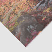 Papier Mousseline Automne Forêt forestière Red Orange Trees Découpag (Détail)