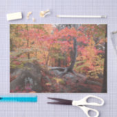 Papier Mousseline Automne Forêt forestière Red Orange Trees Découpag (Artisanat)