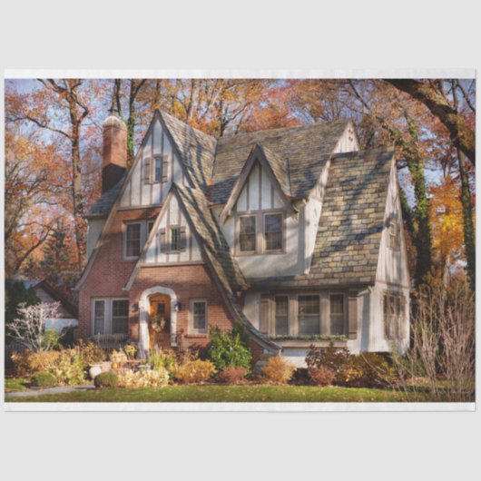 Papier Mousseline Automne - Maison de gnome (Recto)