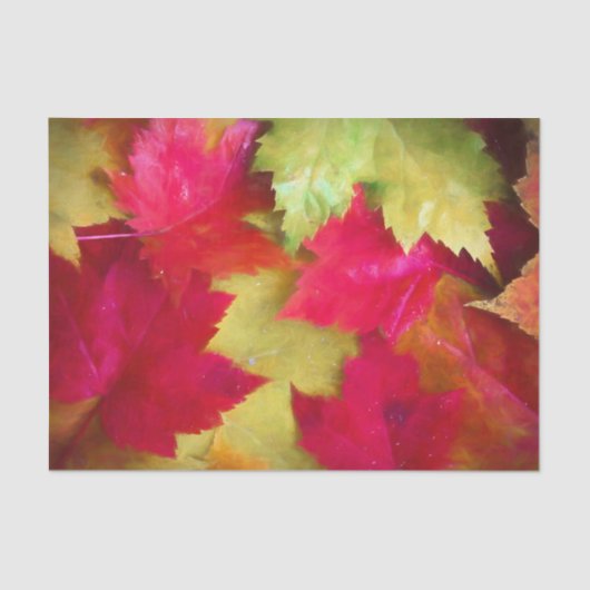 Papier Mousseline Automne Rouge jaune érable Feuille Art (Recto)