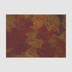 Papier Mousseline Automne Rouge Orange Neon Feuille d'érable foncé